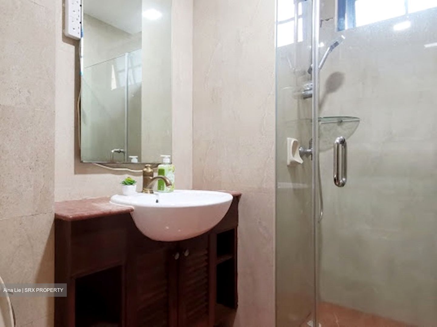 Sanctuary Green (D15), Condominium #575390741